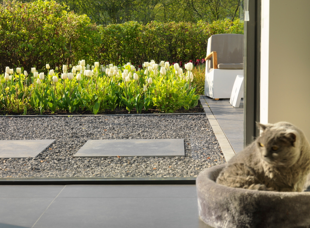 Trend garden 2013